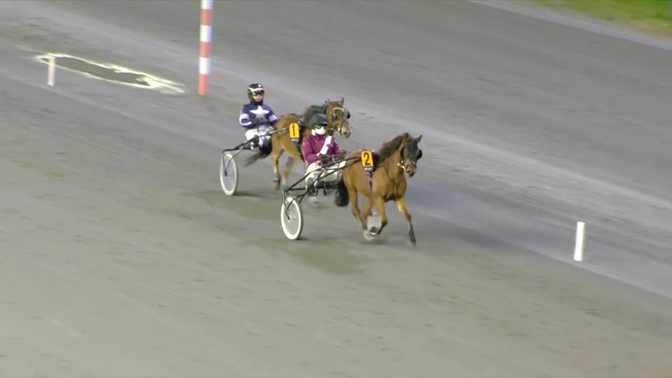 Bjerke Travbane - 13.10.2026