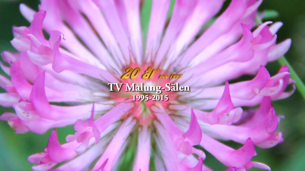 TV Malung-Sälen 20 år