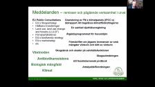 11aeffad f60d 4846 993a 09a7a4daf0b3