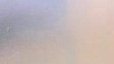 1f20c9a8 9e57 4b96 83c4 4f550b51cace