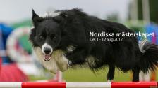 Nordiska Mästerskapet - dag 1