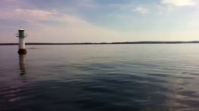 Sälar på väg mot Sandhamn?
