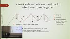 Framtidens gröna energi kan odlas i Norrland 6 februari 2019
