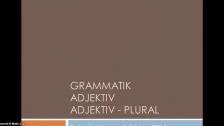 Adjektiv (med substantiv i plural) - på ryska