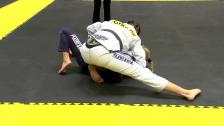 Open Brown & Black Belt