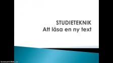 Att läsa en ny text PP