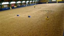 Paintchampionatet 2014