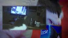 Harmo (Musikvideo)