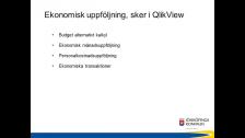 Ekonomisk uppföljning