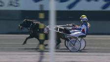 Oslo Mini Grand Prix, Bjerke Travbane 11. juni 2023