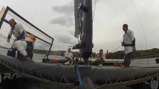 M32 Cup - FINAL - Stockholm 19 sept