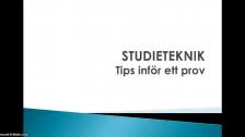 Studieteknik: tips inför ett prov - på ryska