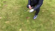 Divot - irronnut nurmenpala