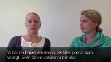Uttal sk-ljudet