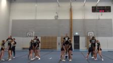 Senior Elite