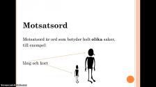 Motsatser och synonymer