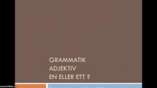 Adjektiv (substantiv med en och ett) - på ryska