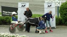 Ponny landsleir - løp 3, lørdag