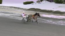 OAT og TGN ponniløp, Bjerke Travbane 28. februar 2023