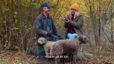 Keno♥Gotland – Tryffeljakt